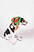 Clever Creations Puppy Dog Christmas Elf Hat Outfit, Festive Holiday Pet Costume, One Size Fits Most