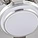 RainierLight Modern Ceiling Fan 5 Stainless Steel Blades Remote Control LED 3 LED Changing Light (White/ Warm/ Yellow) for Indoor Mute Energy Saving Electric Fan (48inch)