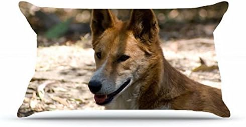 Fannie King Size 20X36 PillowCase Inches Cotton Pillowcases Decorative Pillow Cover Case with Hidden Zipper Decor Cushion Covers - Animals wild dog dingo s shadow For Car