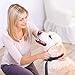 Queenmew Dog Bark Collar, Anti Dog Barking Device Training Collars, Rechargeable & Waterproof Bark Control, Harmless Citronella Spray Anti-Bark Deterrent Stopper (Dog Bark Collar)thumb 4
