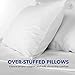Deluxe Home Gel Fiber Queen Pillow 2 Pack - Hypoallergenic, Extra Plush Down Alternative Bed Pillows - .4 Micro Denier Fill with Microfiber Fabric Shell - Crafted in USA (Extra Soft Value 2-Pack)
