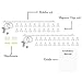 You Have Space BHG 2 Pack Hanging Picture Display Photo Holders with Metal Cable Strings and 40 Magnetic Clips Metal White