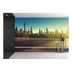 Asphalt Road in Forest - Removable Wall Mural | Self-Adhesive Large Wallpaper - 66x96 inches