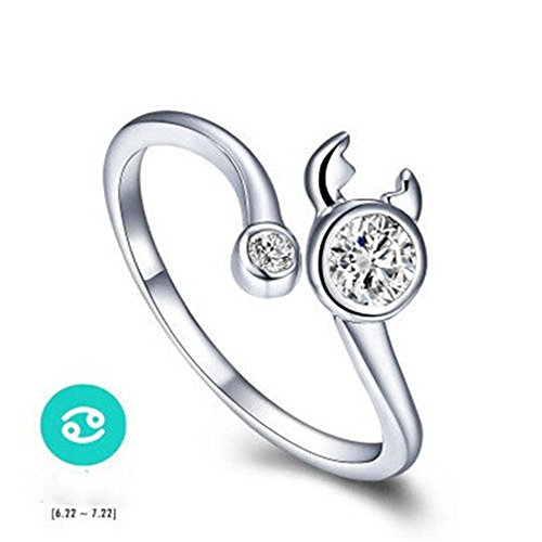 Chic plated silver 12 constellations zodiac sign openin…