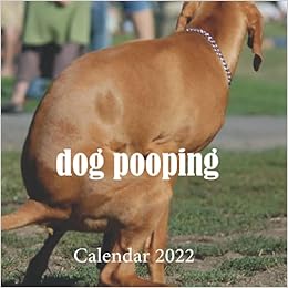 Pooping Dogs 2021 Calendar: Funny Party Gag Gifts For Men Women Teens Kids 2022-2023: Work, Zt: 9798534510379: Amazon.com: Books