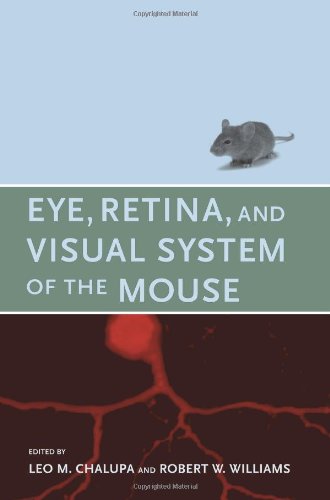 Eye, Retina, and Visual System of the Mouse (The MIT Press) (Best Of Janet Mason)