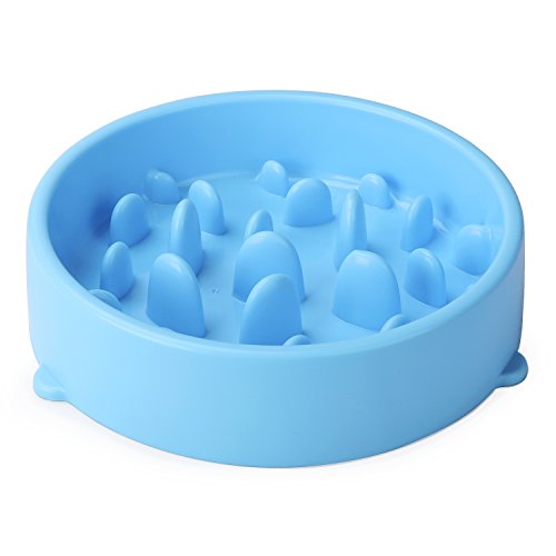 Slow down dog water bowl Clearance