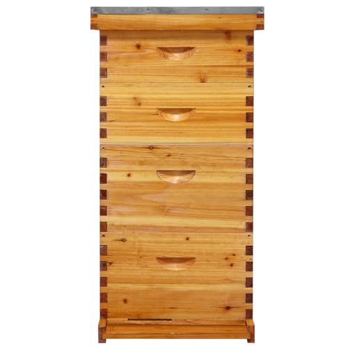 NUOMIC 10-Frame Langstroth Beehive