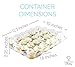 Chefible 24 Mini Cupcake Container - Set of 5 | Plastic Dome Cupcake Box, Mini Cupcakes, Disposable, Durable, Strong Latch, Stackable…
