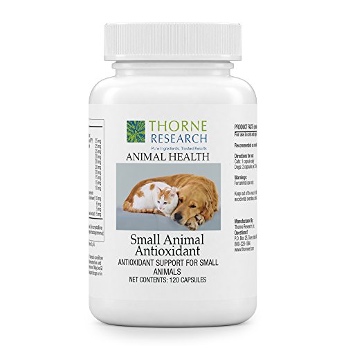 Thorne Research Veterinary - Small Animal Antioxidant - Antioxidant Support for Small Animals - 120 Capsules