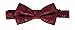 Gioberti Men's Formal 4pc Paisley Vest Necktie Bowtie and Pocket Square, Burgundy, Medium