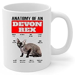Lovesout Funny Black Devon Rex Cat Anatomy Chart