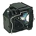 Samsung BP96-01472A Replacement Lamp w/Housing 6,000 Hour Life & 1 Year Warranty