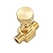 Litorange 2 Pack Heavy Duty Brass Replacement Control Needle Valve 1/4