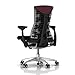 Herman Miller Embody Ergonomic Office Chair with Graphite Frame/Titanium Base | Adjustable Arms with Translucent Casters | Mulberry Rhythm