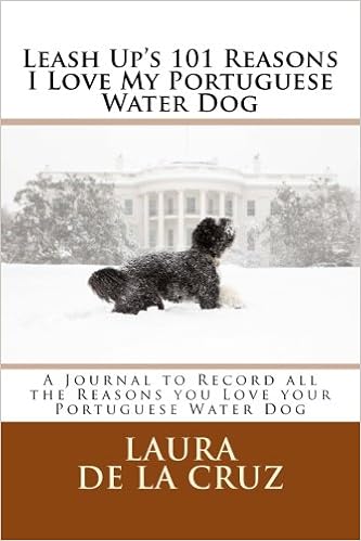 portuguese water dog 101
