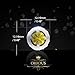 ORROUS & CO Legacy Collection 18K Gold Plated Illusion Solitaire Cubic Zirconia Halo Stud Earrings