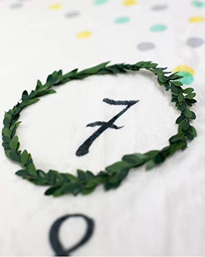 image for Baby Milestone Blanket by Nakie Baby Apparel & Accessories - Monthly B