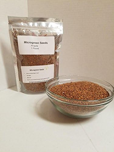"COOL BEANS n SPROUTS" Brand, Arugula Seeds for Sprouting Microgreens ,1 pound, A superfood packed with antioxidants and health-promoting nutrients. A small family run USA business, Jacobs Ladder Ent.