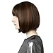 REECHO Bob Wig with Bangs, Short Bob Wigs with Bangs Synthetic Replacement Hair Wigs for Women (11 Inch (Pack of 1), Brown with Auburn Highlights)