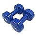 PROMIC Vinyl Coated Single Dumbbell Hand Weight - 20 Pound, Blue