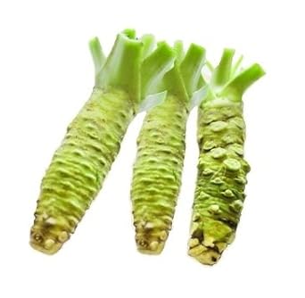 EXKLUSIV: Frischer, Echter Wasabi (1-2 Rhizomestücke min. 50 Gramm Gesamtgewicht) - Erntefrisch importiert - Die unvergleichl
