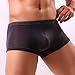 Men Transparent Underwear Boxer ,Vanvler Sexy Male Briefs Shorts Bulge Pouch Underpants (Deep Gray, L)
