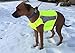 See Spot Trot - See Spot Zip EV Sport High Visibility Reflective Dog Safety Vest, Ideal to Keep Dogs Safe While Walking or Hunting. (Large, Bright Yellow)