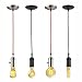 Globe Electric 01325 60W Vintage Edison A19 Quad Loop Incandescent Filament Light Bulb, E26 Base, 245 Lumens, Soft White