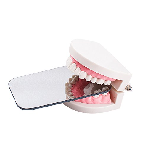 Dental Intraoral Orthodontic Photographic Glass Mirror Rhodium Coated Mirror 2 Sided - Thumbnail 5
