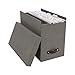 Bigso John Desktop File Box - Storage Solution and Document Organizer for Important Paperwork - Durable Hanging File Box with a Lid and Leather Handle - 7.4 in x 13 in x 10.4 in - Grey