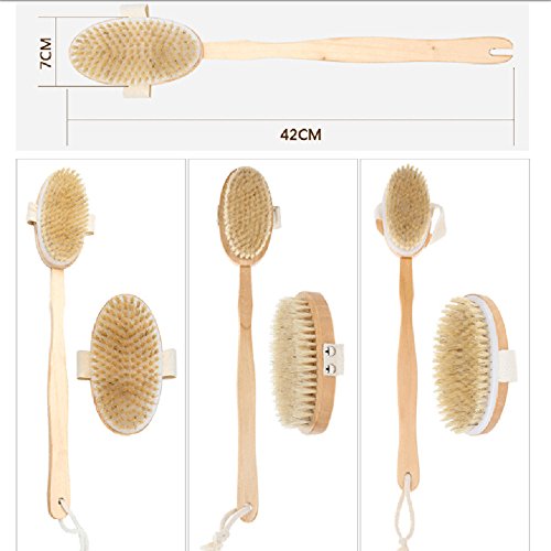 image for Kidirt Bathroom Wooden Long Handle Brush, Bath Brush Scrub Body Cleani