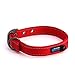 Max and Neo MAX Reflective Metal Buckle Dog Collar - We Donate a Collar to a Dog Rescue for Every Collar Sold (Small, RED)