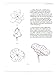 The Beginner's Guide to Chinese Painting: Flowers