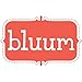 Bluum Subscription: 0-1 Year Old - Baby - December - 2017 Box