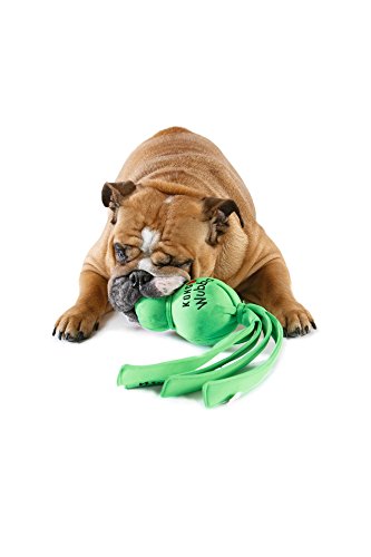 KONG Wet Wubba Dog Toy, Large, Colors Vary