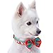Blueberry Pet Christmas Dog Collar with Bow Tie, Nightmare Before Christmas Style, Large Adjustable Dog Collars for Small Dogs, Holiday Dog Collars, Festive Christmas Collar for Dogs