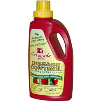 Serenade Serenade CONC, 32 oz