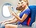 Travel Pal Self Inflating Lumbar Support Pillow BLACK