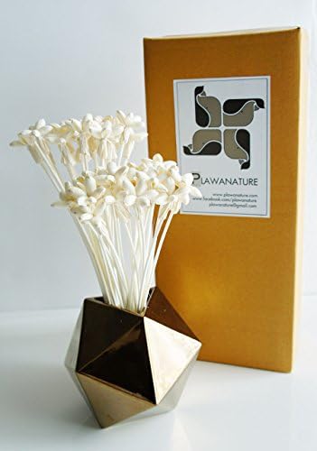 40 Mini Night Jasmine Sola Flower Reed Diffuser for Home Fragrance Aroma Oil by Plawanature