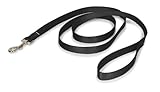 PetSafe Nylon Leash 3/4" x 6', Black