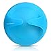 Cellulite Massager Roller -Anti Cellulite Remover - Reduce Cellulite - Cellulite Brush - Remove Cellulite - Cellulite Cure - Anti Cellulite Treatment - Cellulite Reduction - Cellulite Removal - Lose Cellulite - Anti Cellulite Roller To Be Used With Cellulite Cream or Cellulite Oil. 100% NO Questions, NO Hassle Money Back/Replacement Guarantee for 90 Days!