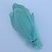 Sowder Natural Goose Feathers Clothing Accessories Pack of 100(Mint Green)