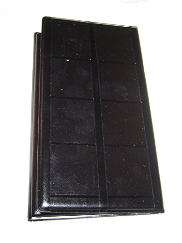 2 Passport+Souvenir+Elongated+Pressed+Pennies