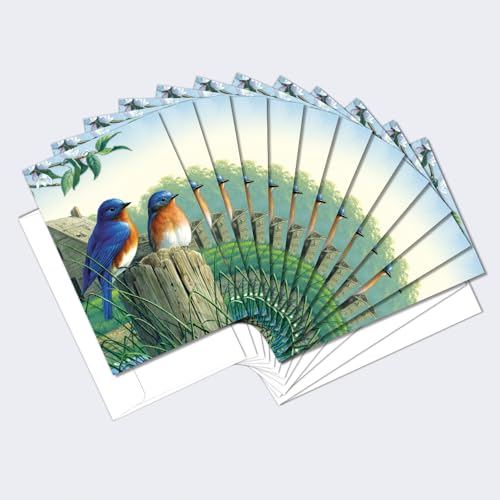 Tree-Free Greetings - All Occasion Cards - Artful Designs - 12 Greeting Cards +…