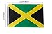 LoveVC Jamaica Flag, 100 Feet Jamaican Flag National Country World Pennant Banner Flags,Party Decorations for Olympics,School Sports Events,International Festival Celebration