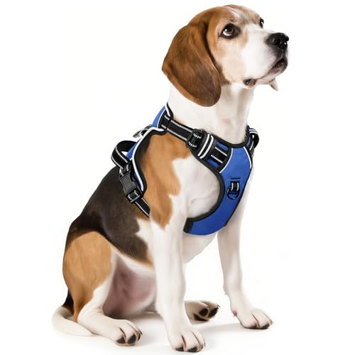 Photo 1 of HEELE Dog Harness, No Pull Adjustable Padded Reflective Harness for Small Medium Large Dogs with Handle for Walking Training, Blue, M