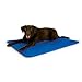 K&H Pet Products Cool Bed III Dog Cooling Mat, Indoor Outdoor Cooling Beds for Large Dogs, Chilling Pet Pad for in Home, Outdoor Houses, Crates, Yards, Porches - Large 44 X 32in Chill Blue