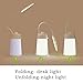 2 in 1 Rechargeable Warm White Light Desk Lamp Night Light Reading Lamp Bedside Lamp Hand Hamp(Battery Capacity: 600MAH )-Jree Ash