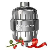 pH ENERGIZE 8-Stage Shower Filter - Filters Chlorine, Chloramine, Fluoride, Heavy Metals, Bacteria & Viruses - Softens Hard Water - Increases pH & ORP - Easy Installation - Fits Any Shower Head